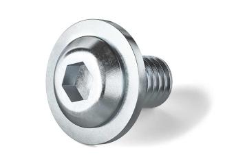 Round head screws 